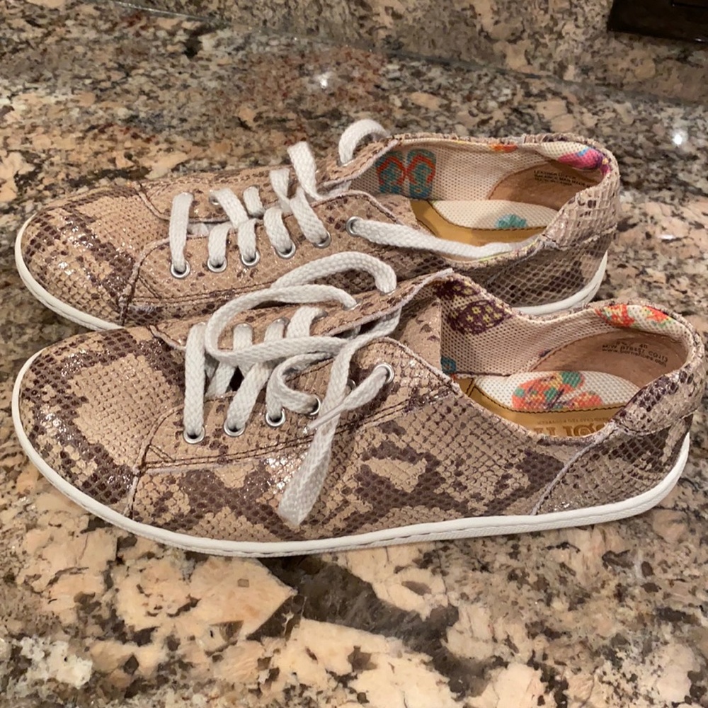 Born snake sneaker